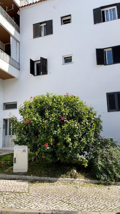 דירות קווארטיירה Apartamento T2 Com Terraco Grande מראה חיצוני תמונה